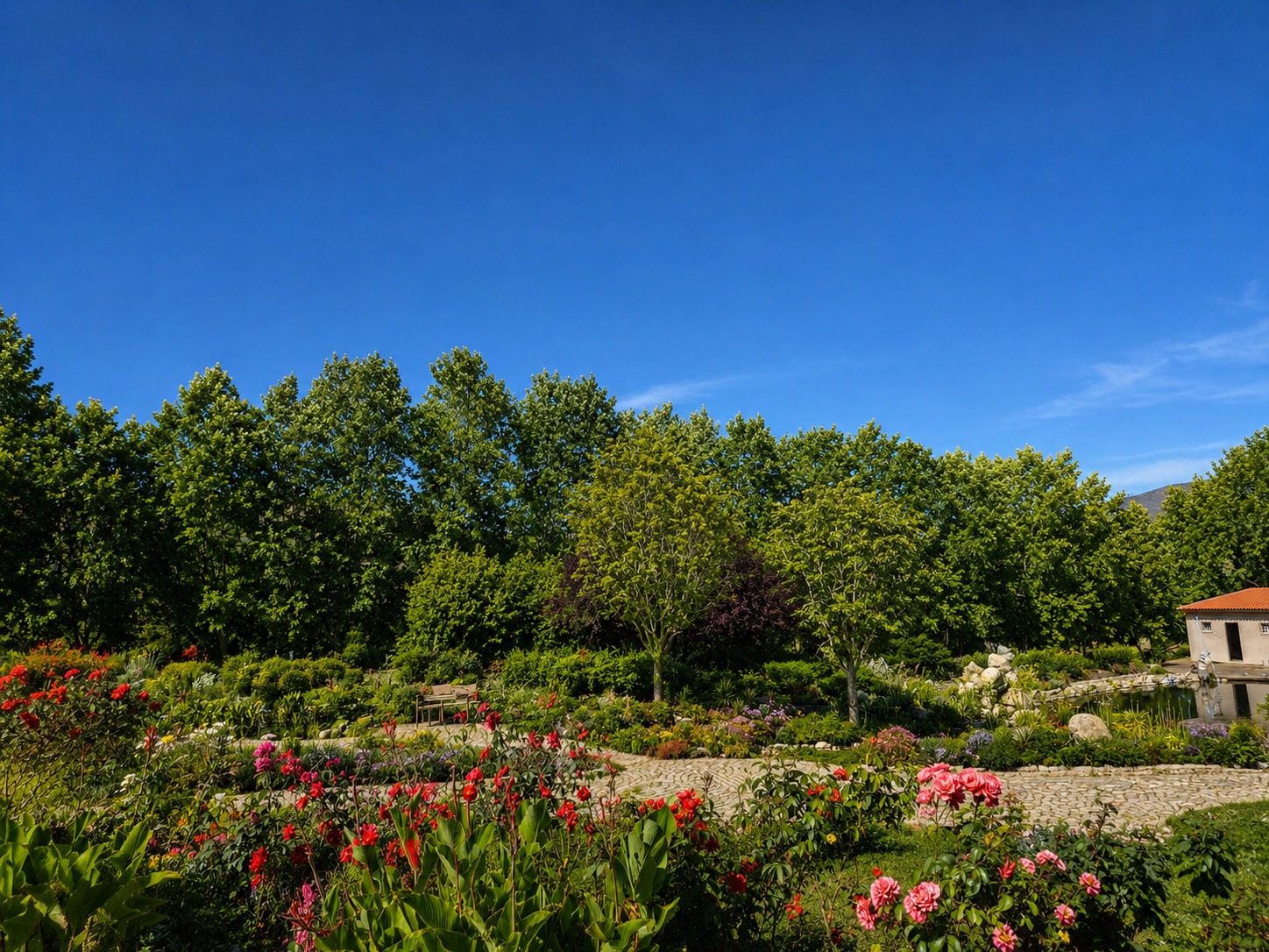 A garden terrace of flowering beds and stone paths below a row of young trees